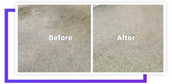 End of lease carpet cleaning Bundoora